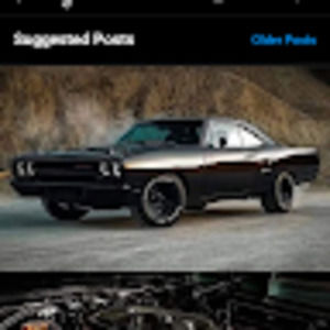 Meet your Posher, Catrina